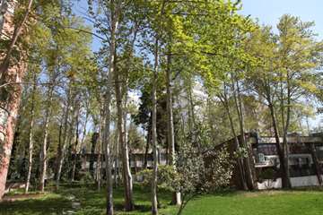 بهار دانشگاه 1399